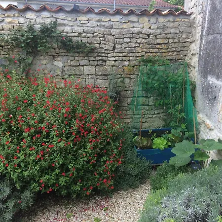 Pineau And Tournesol Holiday Cottages